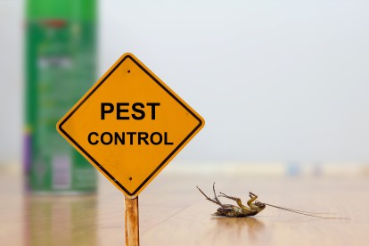 Pest Contol in Cricklewood, NW2. Call Now 020 8166 9746
